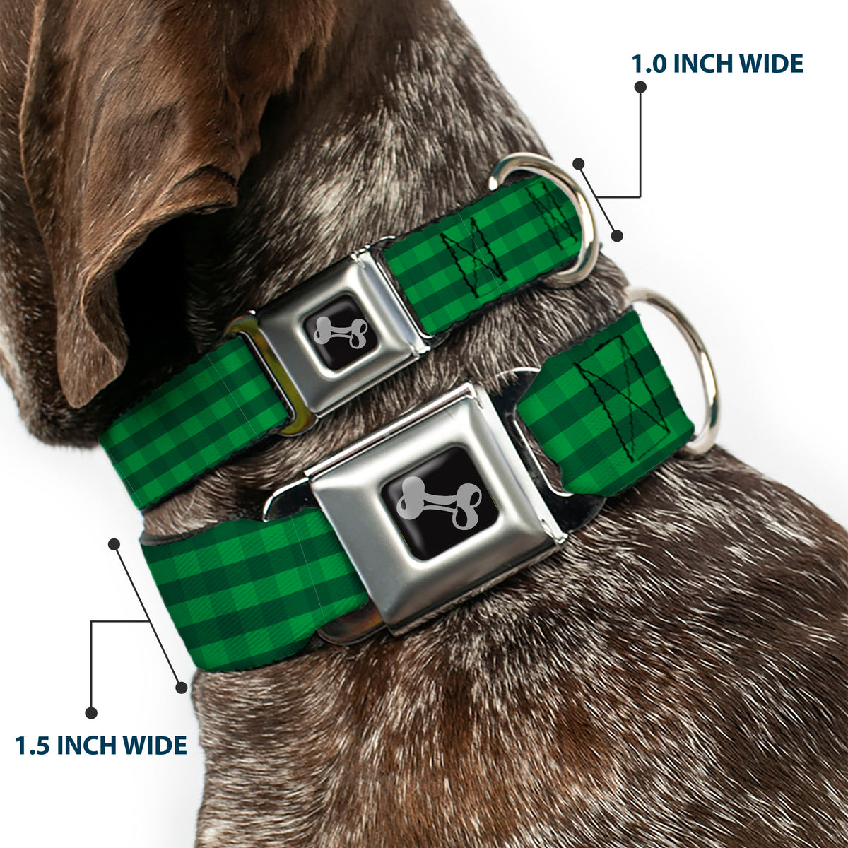Dog Bone Black/Silver Seatbelt Buckle Collar - Christmas Pajama Plaid Greens Dog Collars Seatbelt Buckle Buckle-Down