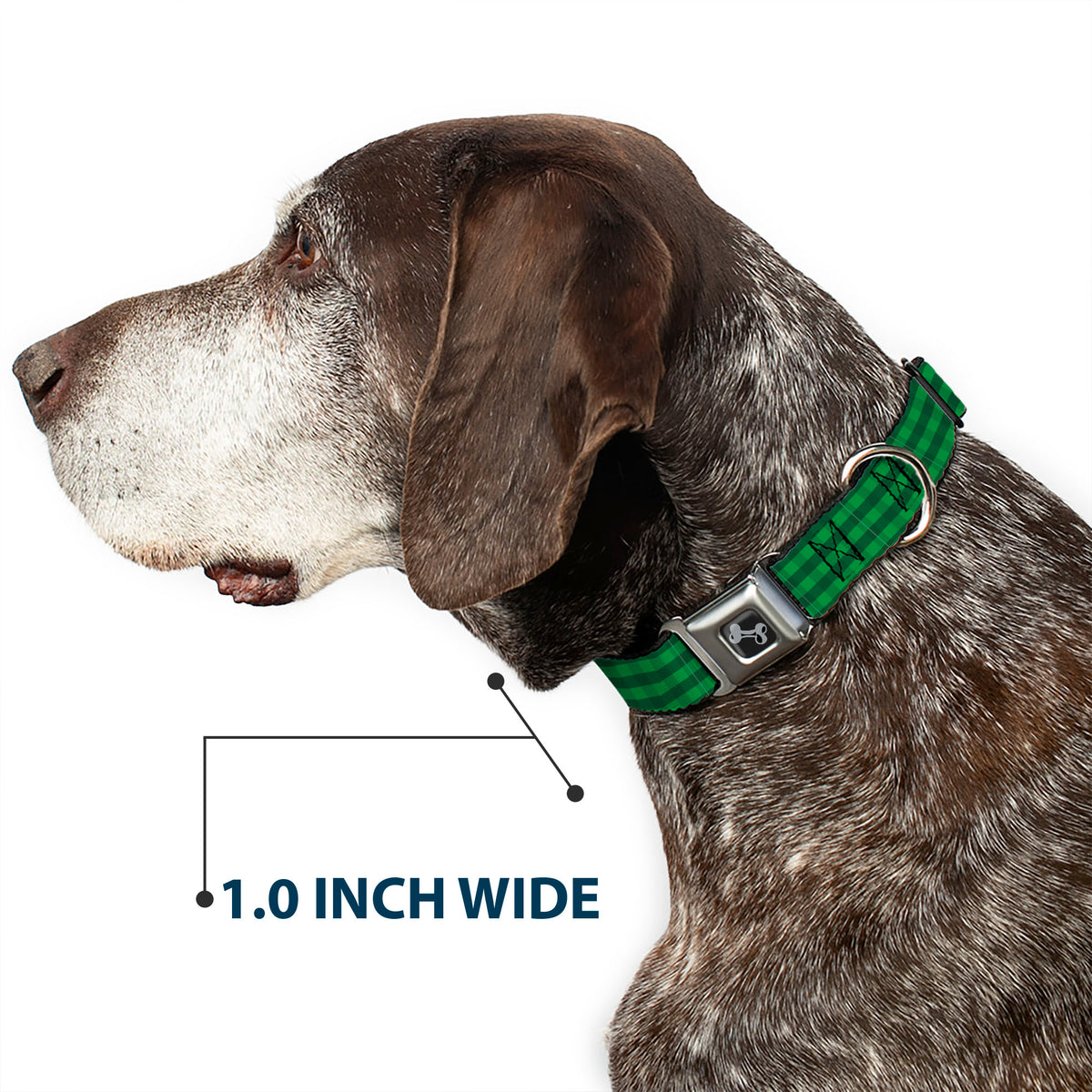 Dog Bone Black/Silver Seatbelt Buckle Collar - Christmas Pajama Plaid Greens Dog Collars Seatbelt Buckle Buckle-Down