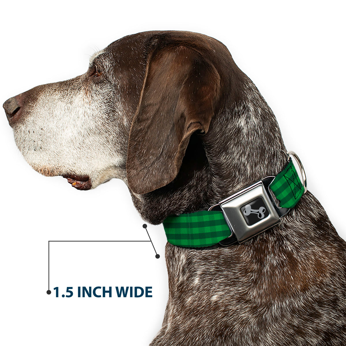 Dog Bone Black/Silver Seatbelt Buckle Collar - Christmas Pajama Plaid Greens Dog Collars Seatbelt Buckle Buckle-Down