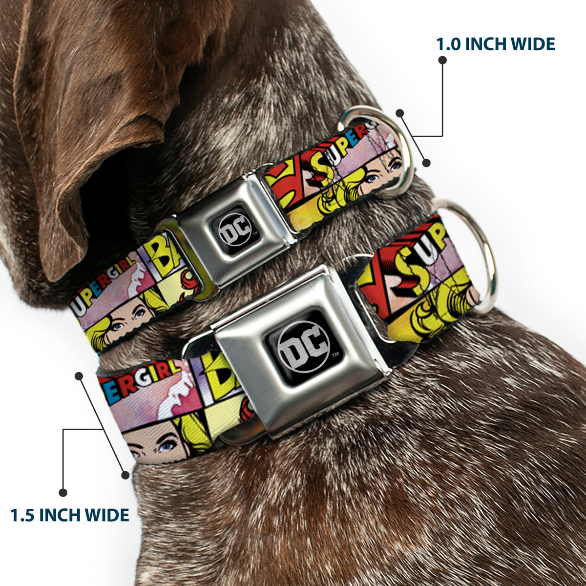 DC Round Logo Black/Silver Seatbelt Buckle Collar - Superheroines Wonder Woman/Supergirl/Batgirl Dog Collars Seatbelt Buckle DC Comics
