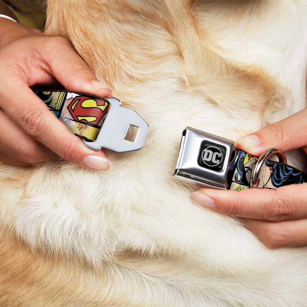 DC Round Logo Black/Silver Seatbelt Buckle Collar - Superheroines Wonder Woman/Supergirl/Batgirl Dog Collars Seatbelt Buckle DC Comics