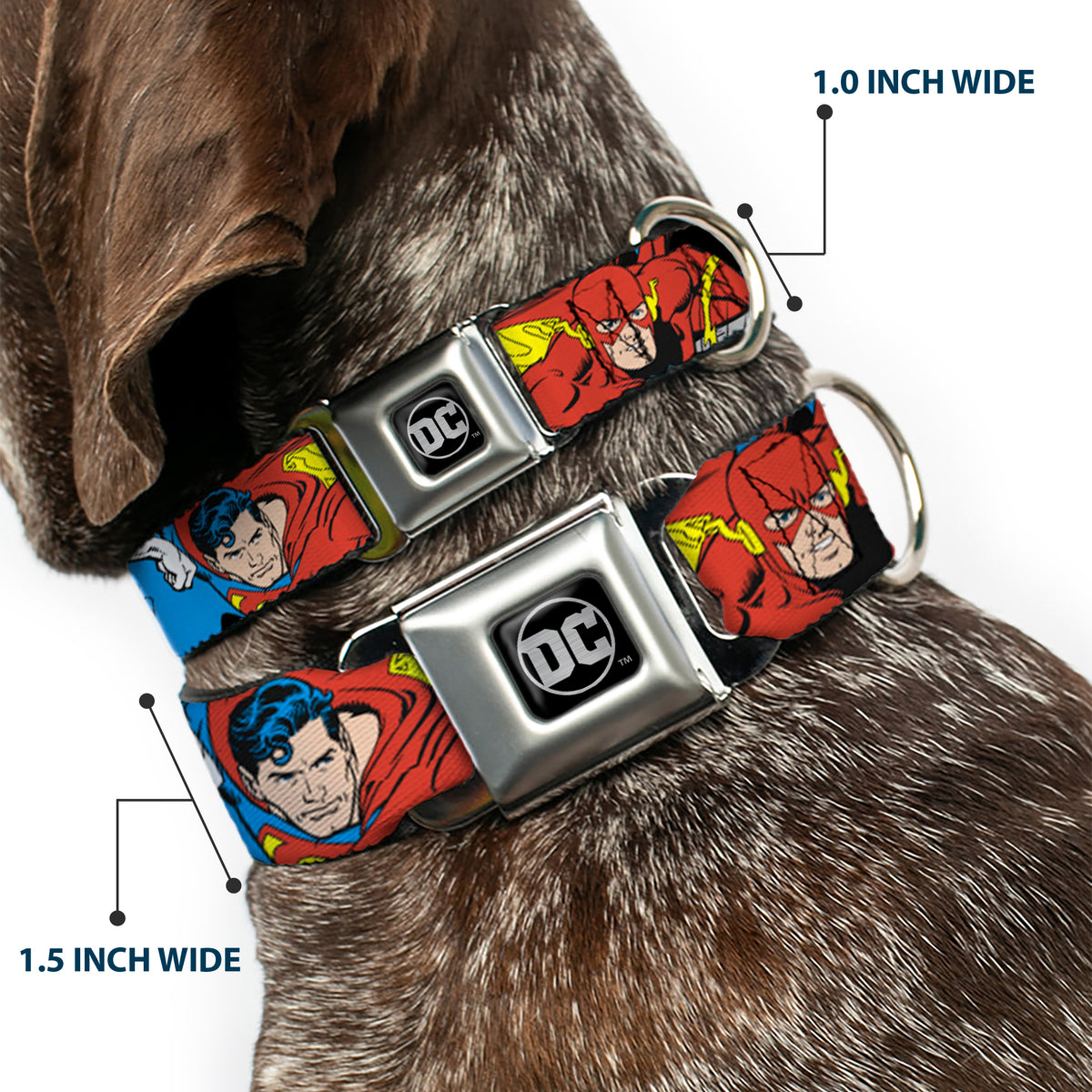 DC Round Logo Black/Silver Seatbelt Buckle Collar - Justice League Superheroes CLOSE-UP New Dog Collars Seatbelt Buckle DC Comics