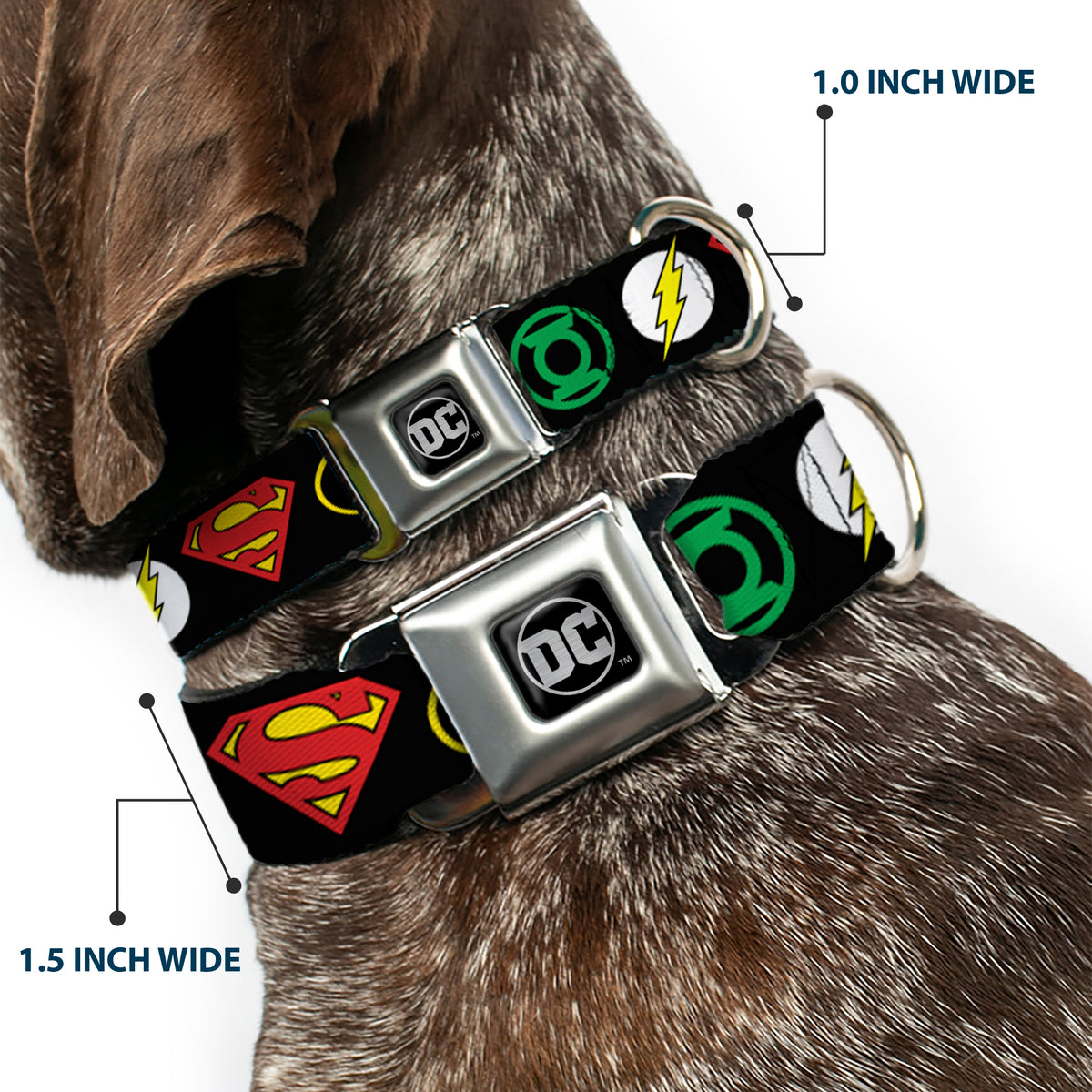 DC Round Logo Black/Silver Seatbelt Buckle Collar - Justice League Superhero Logos Dog Collars Seatbelt Buckle DC Comics