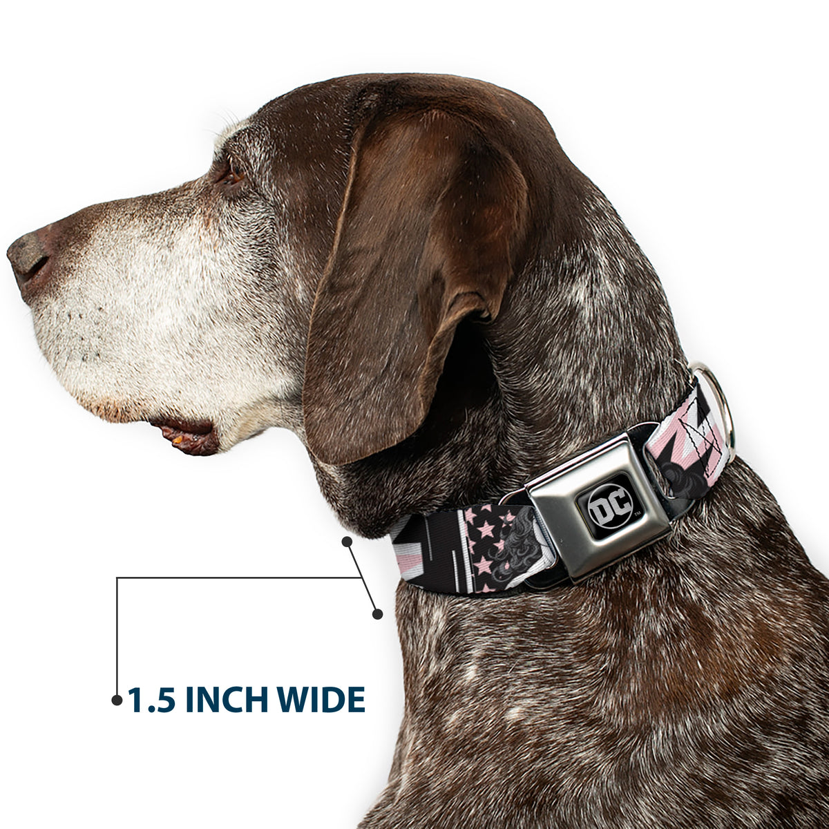 DC Round Logo Black/Silver Seatbelt Buckle Collar - Batgirl/Wonder Woman/Supergirl Retro Panels Black/Pink/White Dog Collars Seatbelt Buckle DC Comics