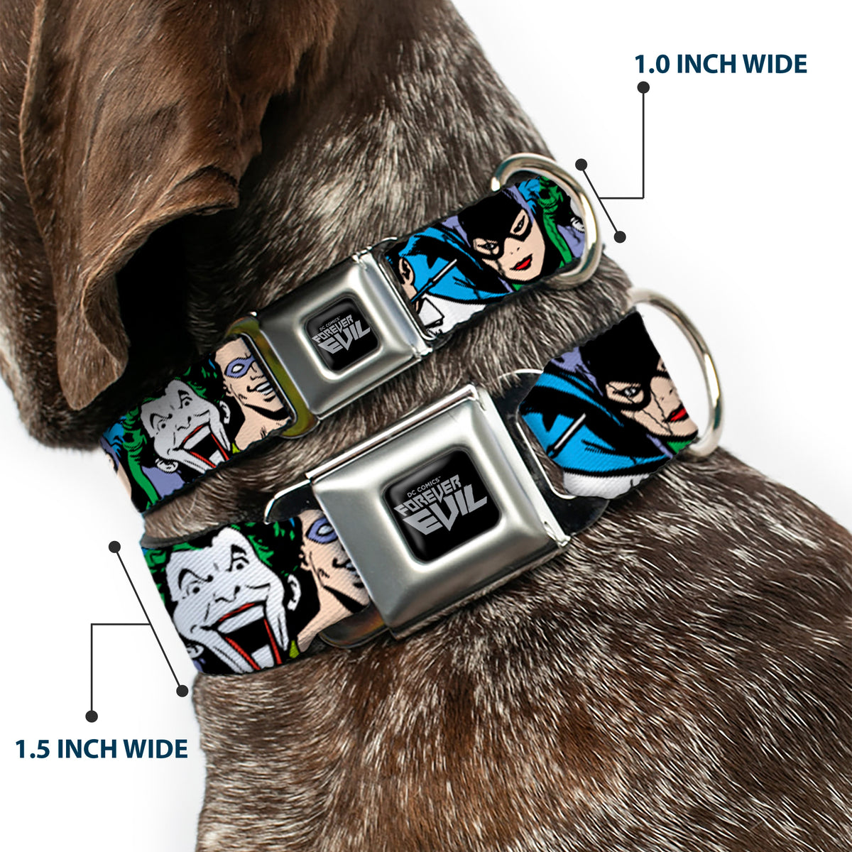 DC COMICS FOREVER EVIL Logo Black/Silver Seatbelt Buckle Collar - Justice League Villains CLOSE-UP Dog Collars Seatbelt Buckle DC Comics
