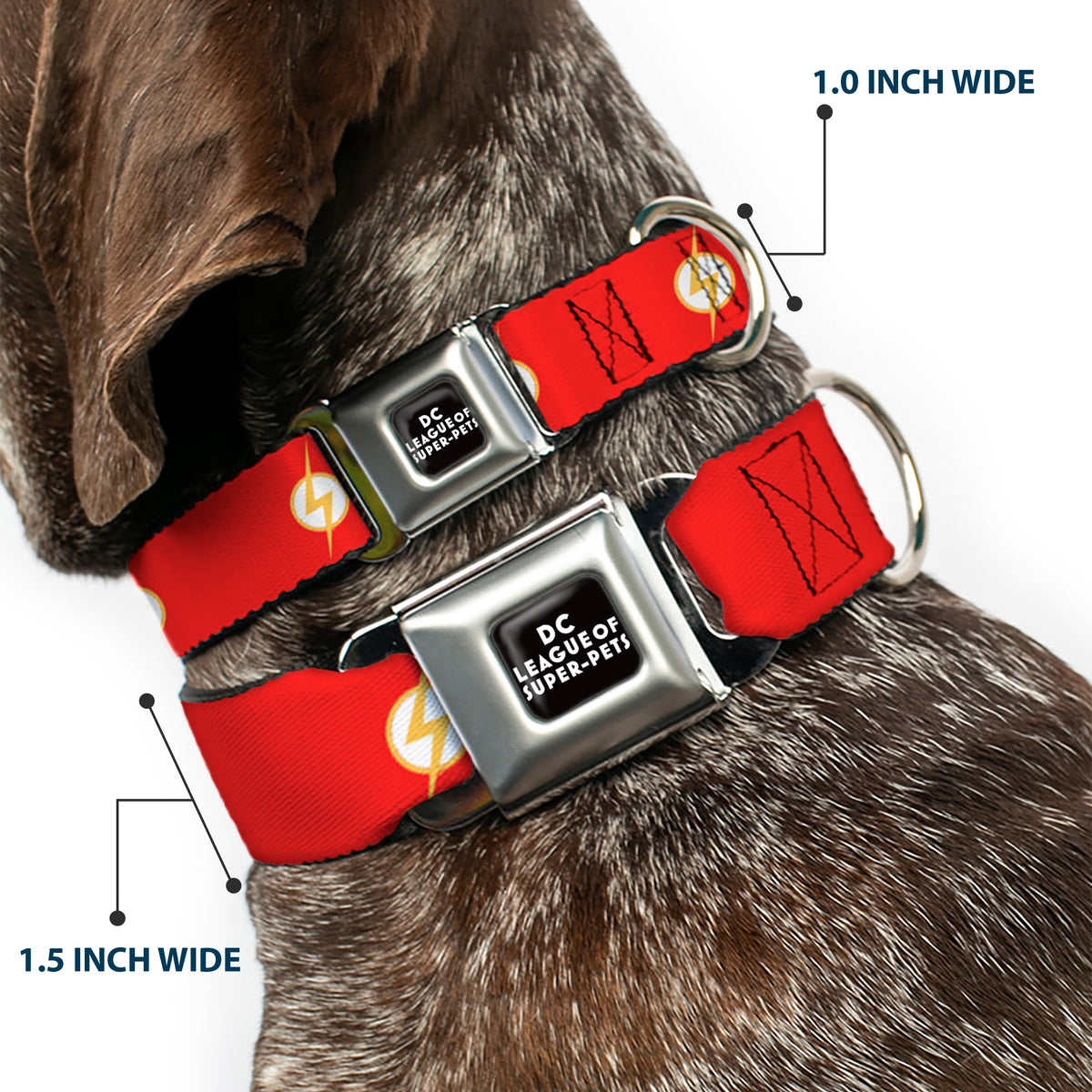 DC LEAGUE OF SUPER-PETS Logo Full Color Black/White Seatbelt Buckle Collar - DC League of Super-Pets Flash Bolt Logo Red/Yellow/White Dog Collars Seatbelt Buckle DC Comics