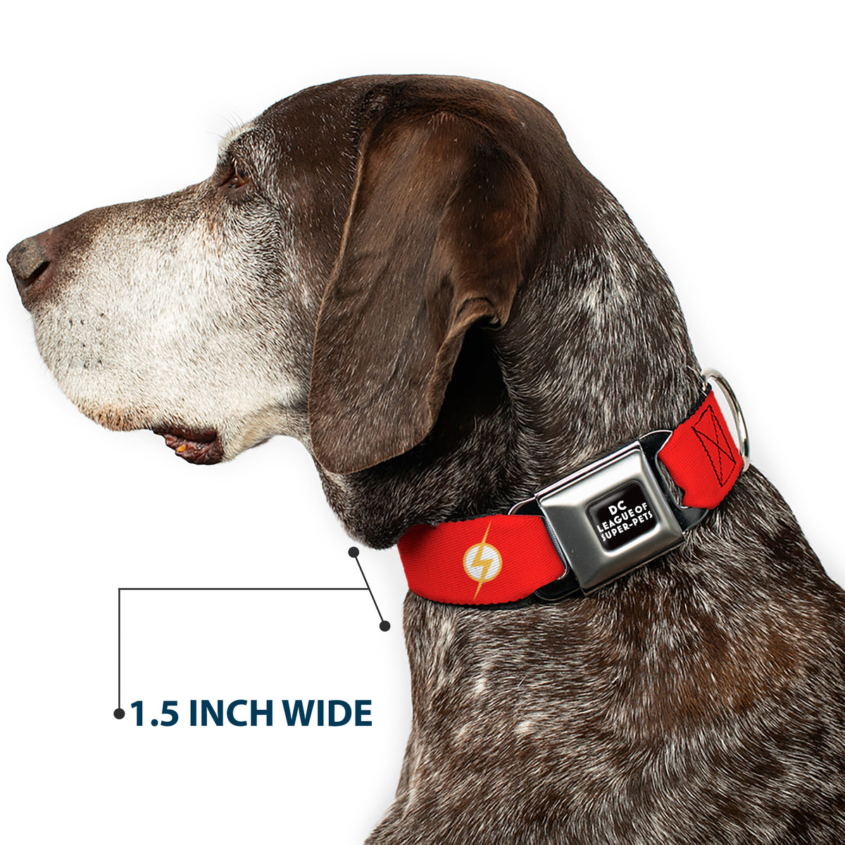 DC LEAGUE OF SUPER-PETS Logo Full Color Black/White Seatbelt Buckle Collar - DC League of Super-Pets Flash Bolt Logo Red/Yellow/White Dog Collars Seatbelt Buckle DC Comics
