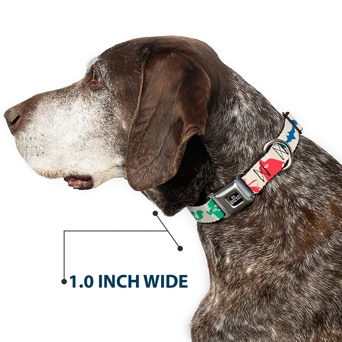 DC LEAGUE OF SUPER-PETS Logo Full Color Black/White Seatbelt Buckle Collar - DC League of Super-Pets Superhero with Pets and Logos Silhouette White/Multi Color Dog Collars Seatbelt Buckle DC Comics