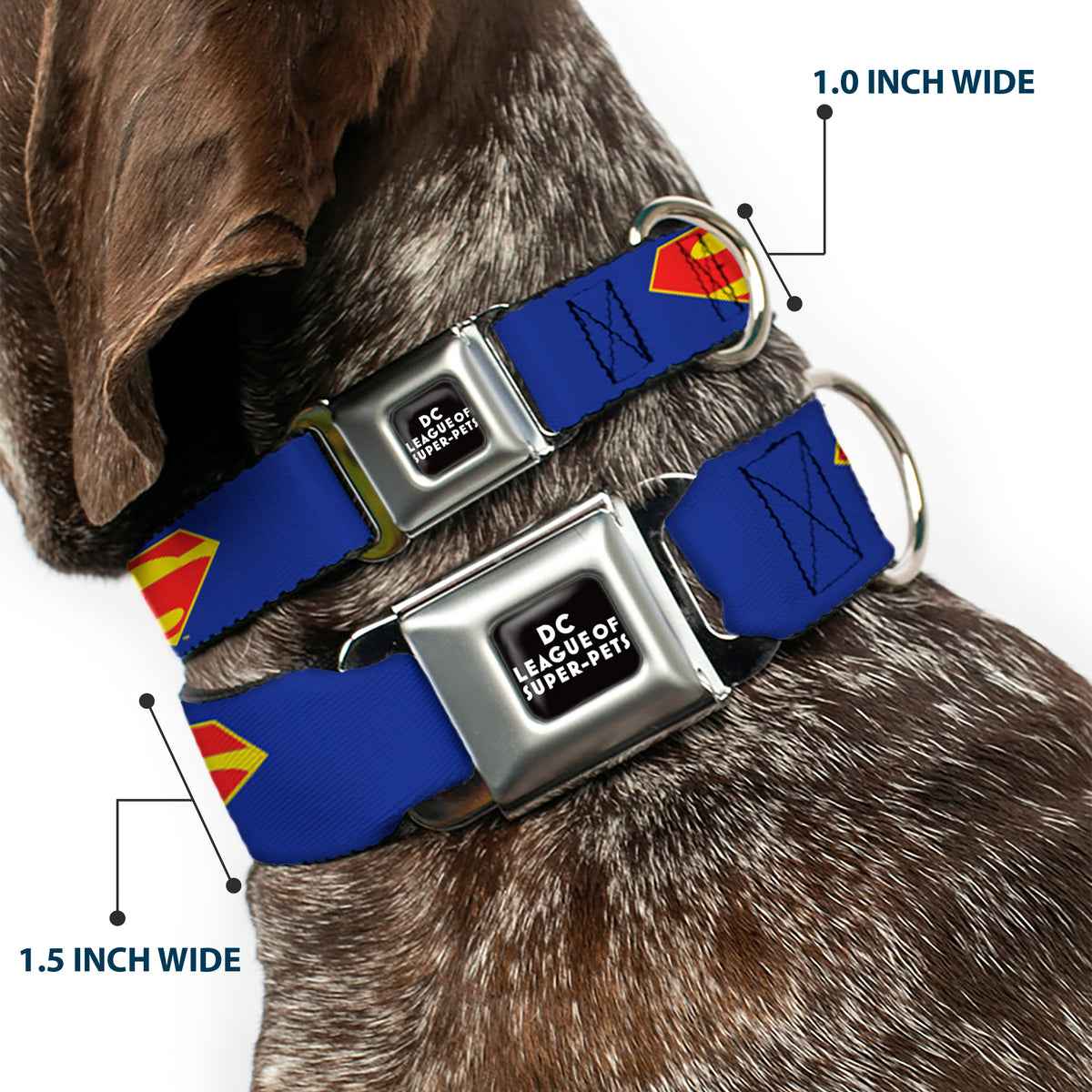 DC LEAGUE OF SUPER-PETS Logo Full Color Black/White Seatbelt Buckle Collar - DC League of Super-Pets Superman Shield Logo Blue/Red/Yellow Dog Collars Seatbelt Buckle DC Comics