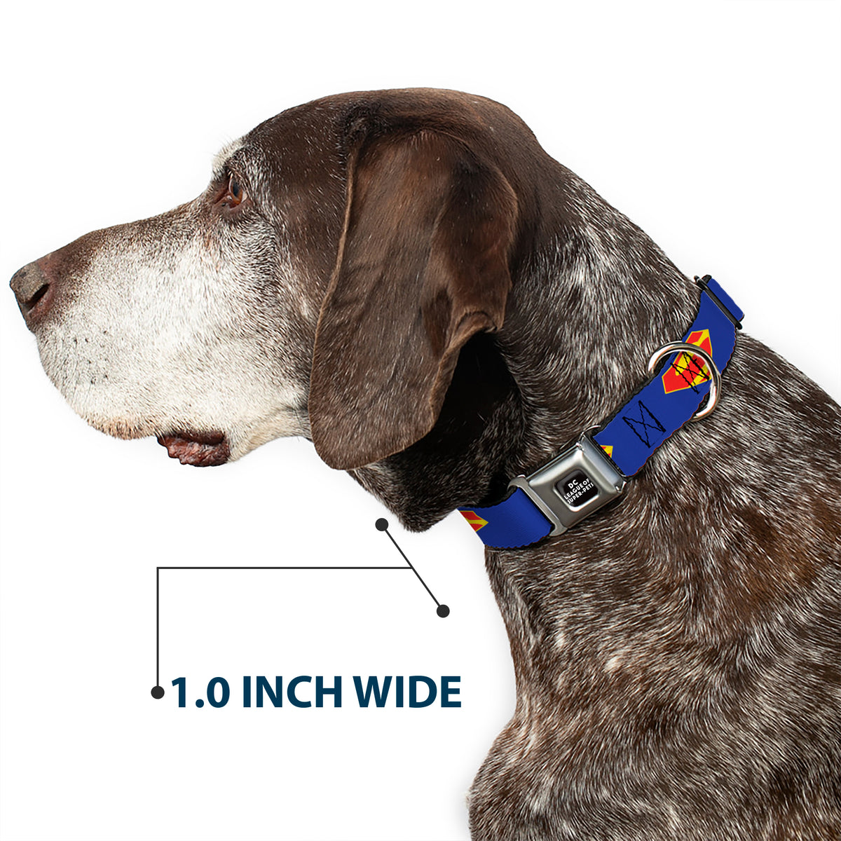 DC LEAGUE OF SUPER-PETS Logo Full Color Black/White Seatbelt Buckle Collar - DC League of Super-Pets Superman Shield Logo Blue/Red/Yellow Dog Collars Seatbelt Buckle DC Comics