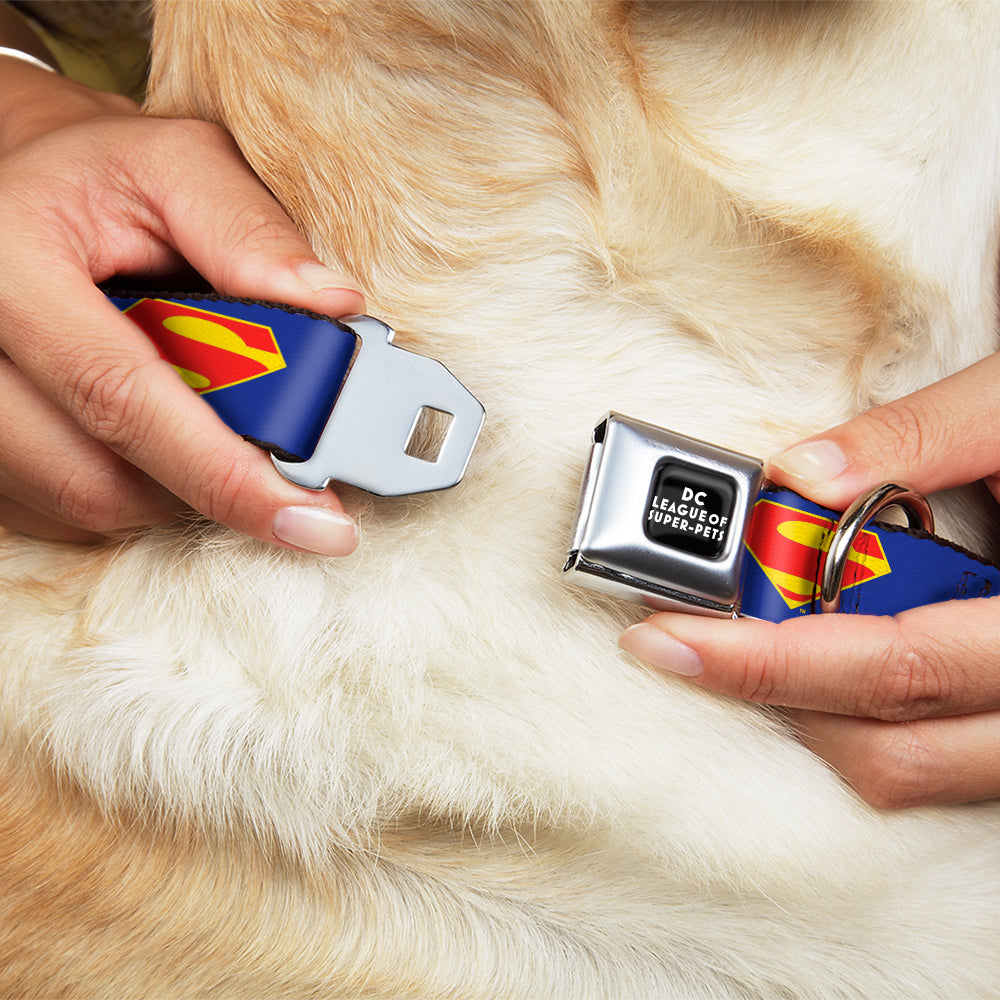 DC LEAGUE OF SUPER-PETS Logo Full Color Black/White Seatbelt Buckle Collar - DC League of Super-Pets Superman Shield Logo Blue/Red/Yellow Dog Collars Seatbelt Buckle DC Comics