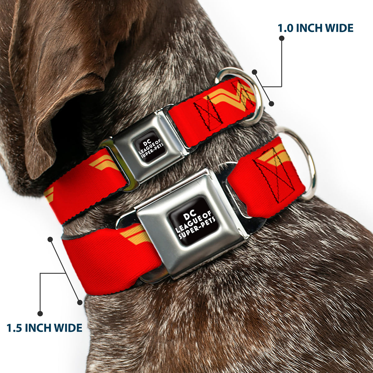 DC LEAGUE OF SUPER-PETS Logo Full Color Black/White Seatbelt Buckle Collar - DC League of Super-Pets Wonder Woman Logo Red/Yellow Dog Collars Seatbelt Buckle DC Comics