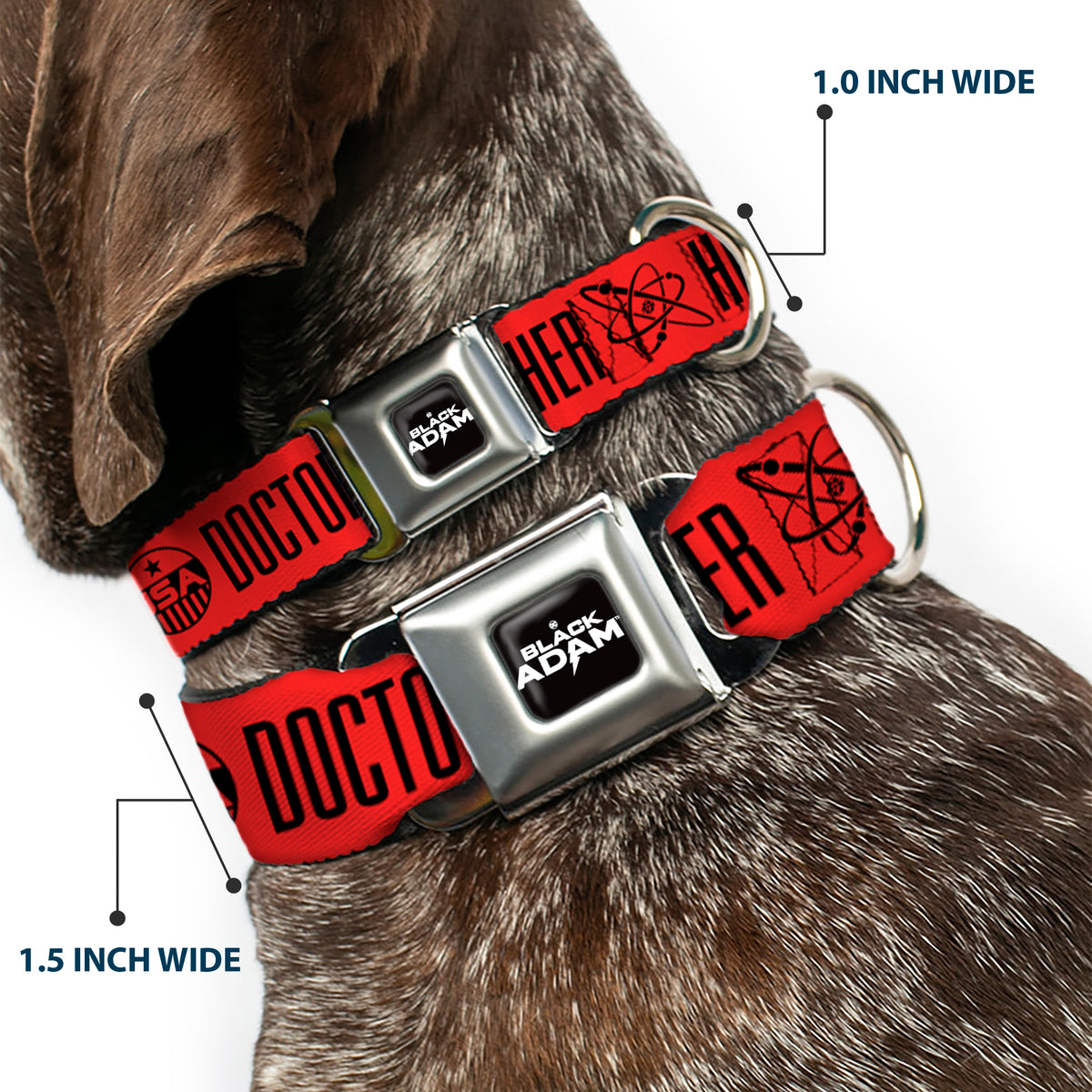 DC BLACK ADAM Title Logo Full Color Black/White Seatbelt Buckle Collar - Black Adam JUSTICE SOCIETY Icons and Text Red/Black Dog Collars Seatbelt Buckle DC Comics