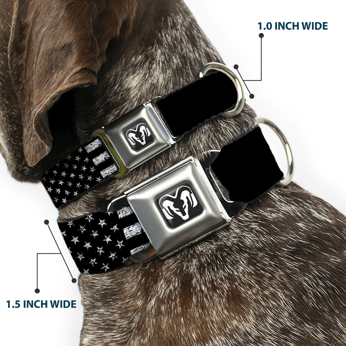 Ram Logo Full Color Black/White Seatbelt Buckle Collar - RAM Text and Logo Americana Weathered Black/White Dog Collars Seatbelt Buckle Ram