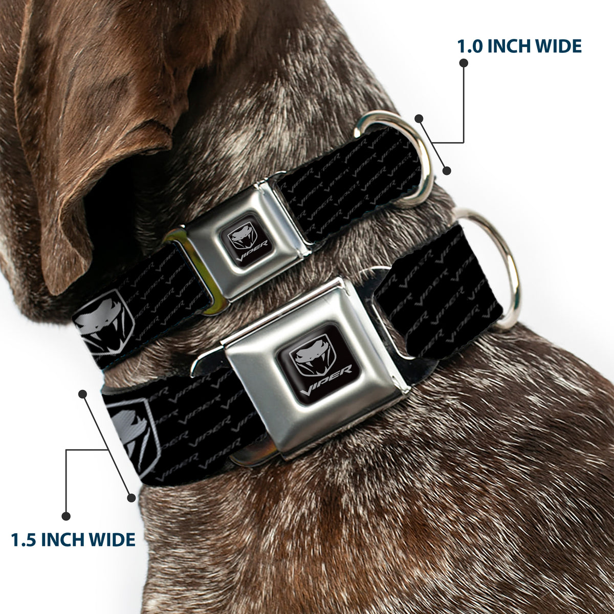 Dodge Viper Seatbelt Buckle Collar - Dodge Viper REPEAT w/Text Dog Collars Seatbelt Buckle Dodge