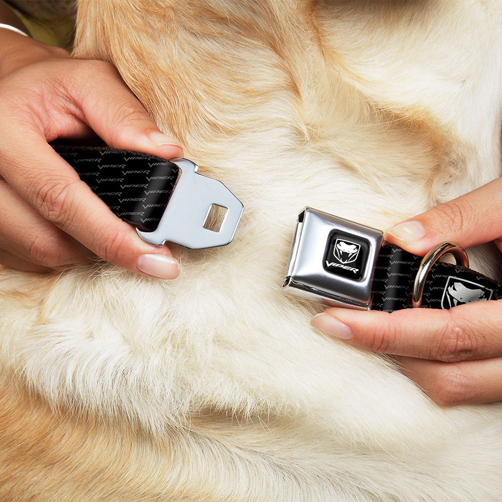 Dodge Viper Seatbelt Buckle Collar - Dodge Viper REPEAT w/Text Dog Collars Seatbelt Buckle Dodge