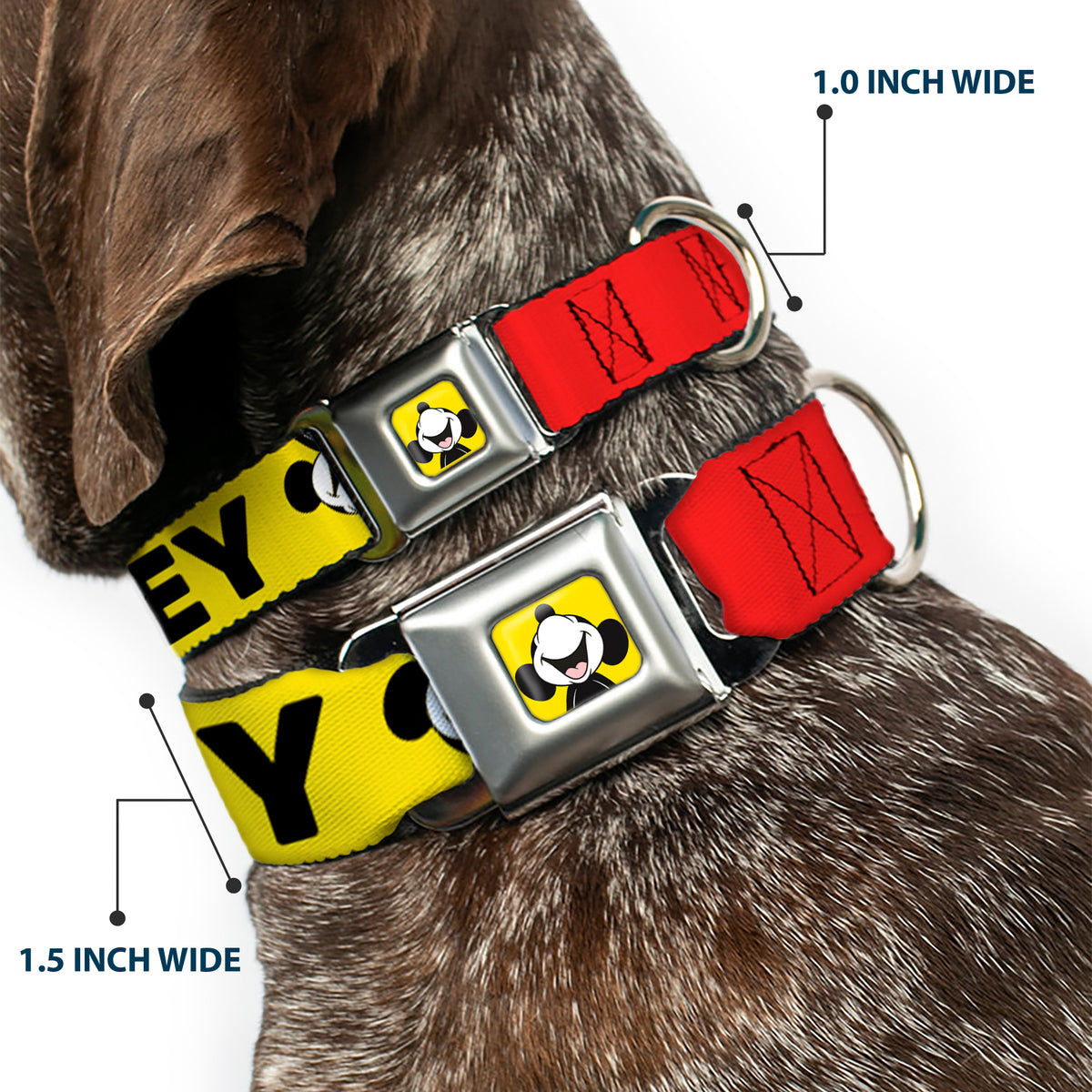 Mickey Smiling Up Pose Full Color Yellow/Black/White Seatbelt Buckle Collar - MICKEY Smiling Up Pose Flip/Buttons Yellow/Black/Red Dog Collars Seatbelt Buckle Disney