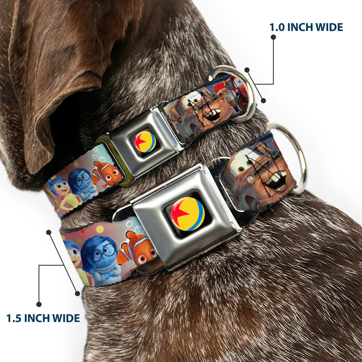 Disney Pixar Luxo Ball Full Color Black/Yellow/Blue/Red Seatbelt Buckle Collar - Disney Pixar 7-Movie Character Collage Dog Collars Seatbelt Buckle Disney