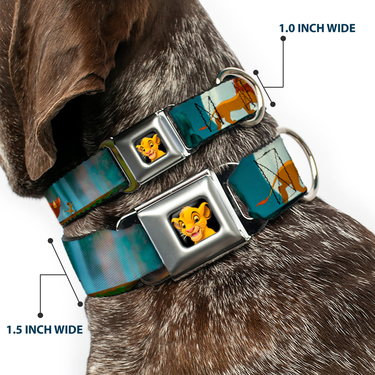 Simba2 CLOSE-UP Full Color Seatbelt Buckle Collar - Lion King Simba, Pumba & Timon Growing Up Dog Collars Seatbelt Buckle Disney