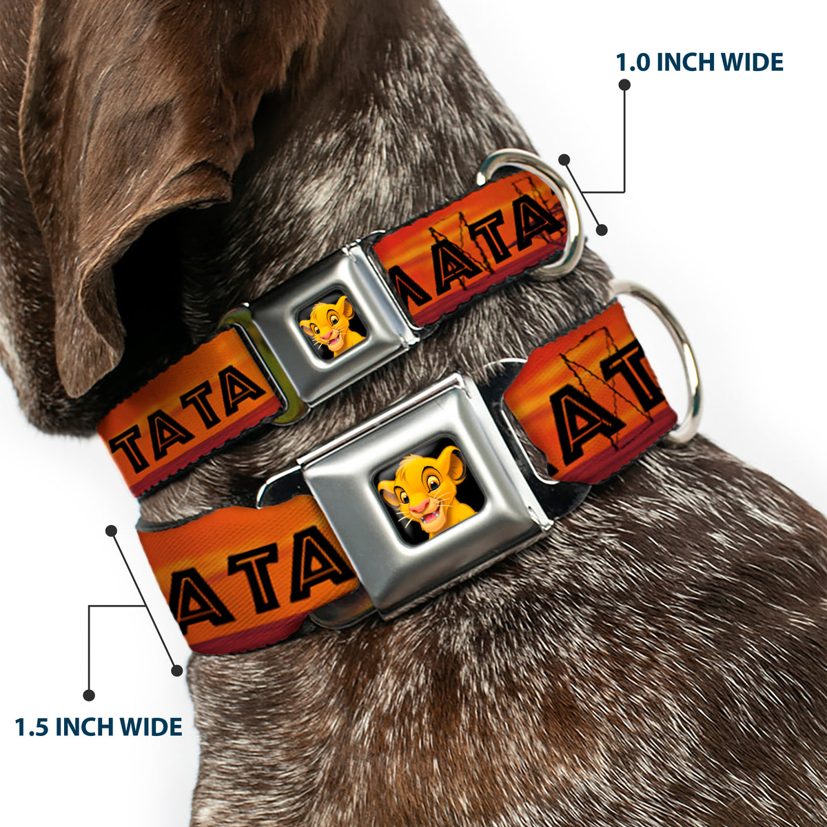 Simba2 CLOSE-UP Full Color Seatbelt Buckle Collar - Lion King HAKUNA MATATA Sunset Oranges/Black Dog Collars Seatbelt Buckle Disney