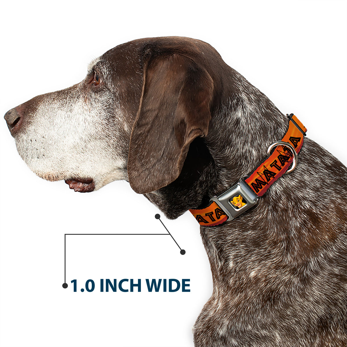 Simba2 CLOSE-UP Full Color Seatbelt Buckle Collar - Lion King HAKUNA MATATA Sunset Oranges/Black Dog Collars Seatbelt Buckle Disney