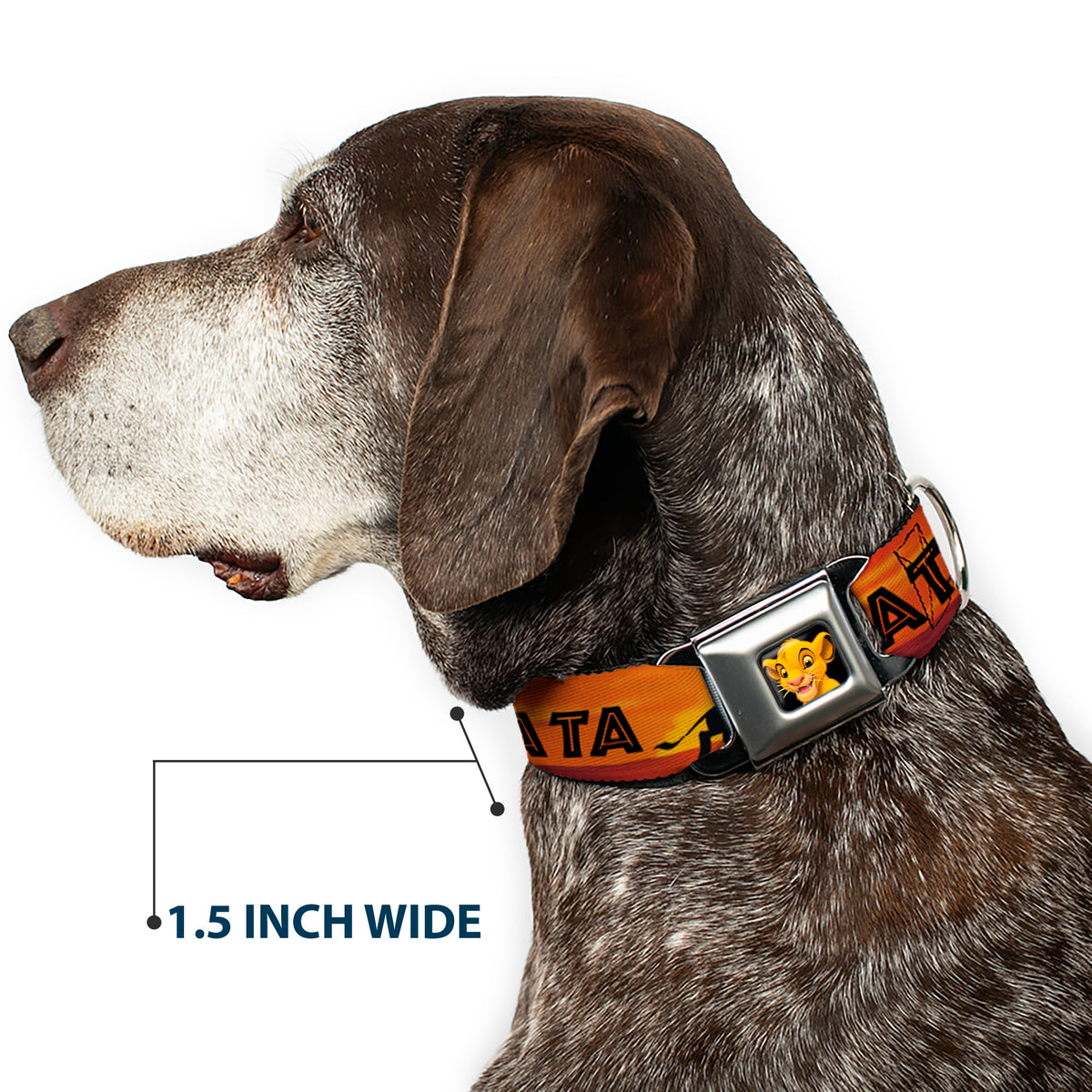 Simba2 CLOSE-UP Full Color Seatbelt Buckle Collar - Lion King HAKUNA MATATA Sunset Oranges/Black Dog Collars Seatbelt Buckle Disney
