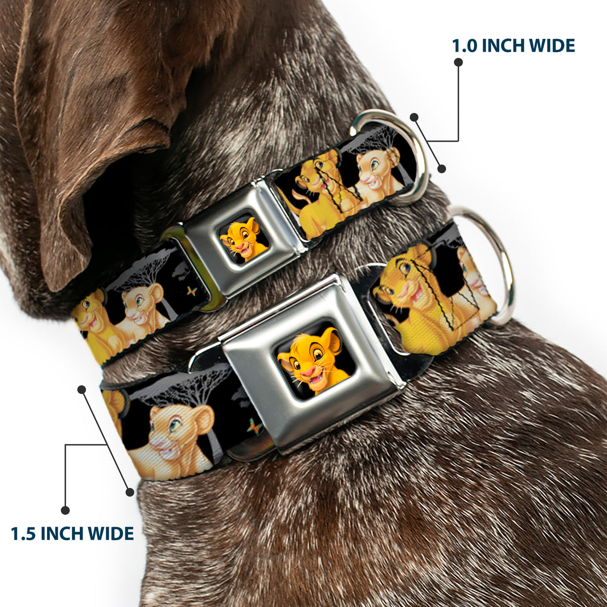 Simba2 CLOSE-UP Full Color Seatbelt Buckle Collar - Lion King Simba & Nala HAKUNA MATATA Dog Collars Seatbelt Buckle Disney