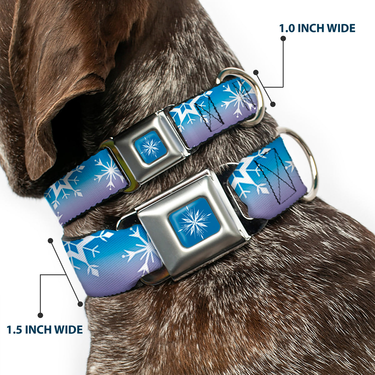 Frozen II Snowflake Full Color Blue/White Seatbelt Buckle Collar - Frozen II Snowflakes Blues/Purples/White Dog Collars Seatbelt Buckle Disney