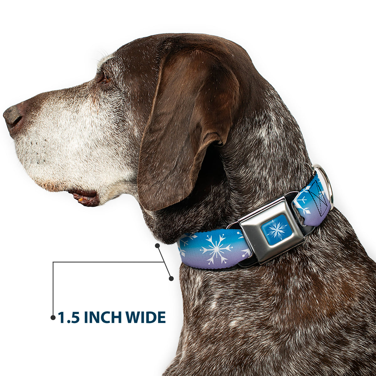 Frozen II Snowflake Full Color Blue/White Seatbelt Buckle Collar - Frozen II Snowflakes Blues/Purples/White Dog Collars Seatbelt Buckle Disney
