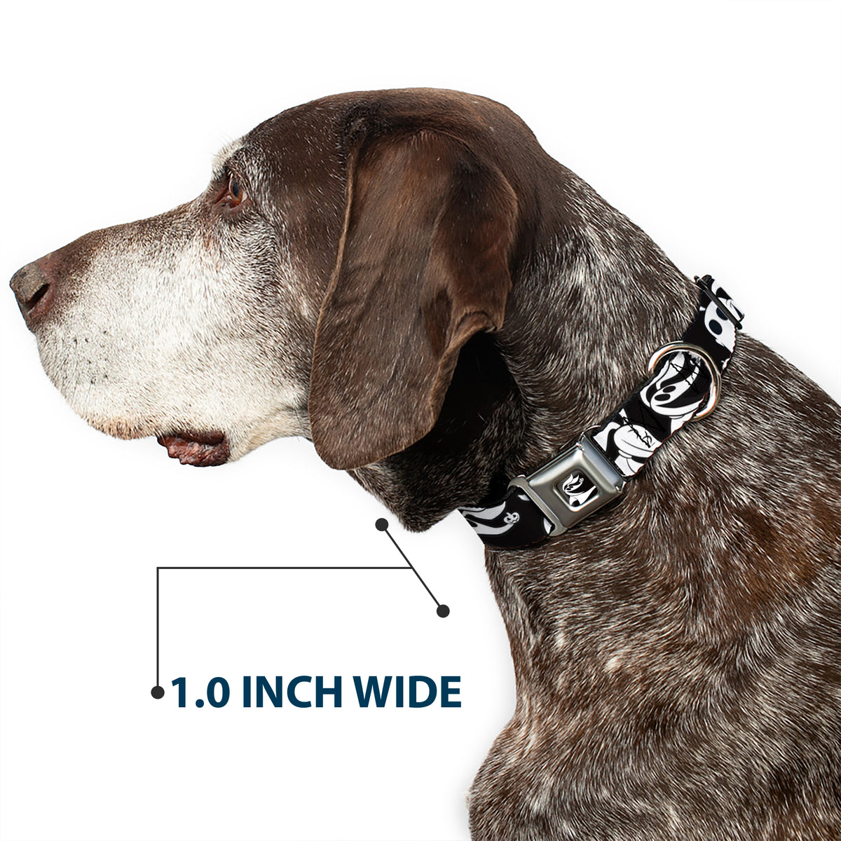 Nightmare Before Christmas Zero Smiling Full Color Black/White Seatbelt Buckle Collar - Nightmare Before Christmas Zero Expressions Black/White Dog Collars Seatbelt Buckle Disney