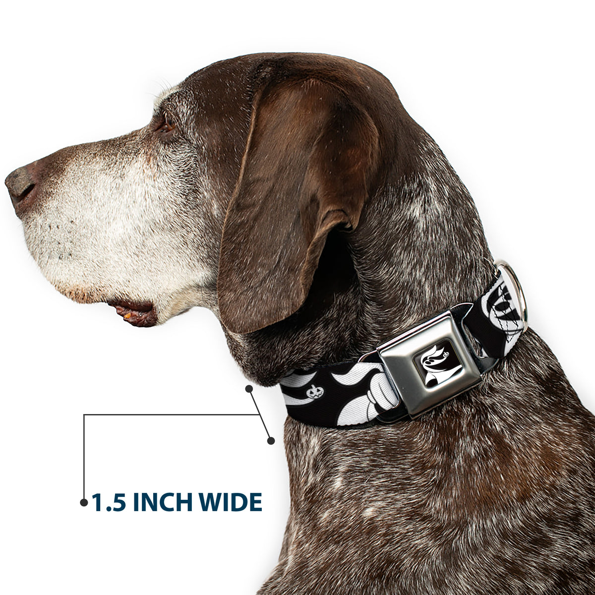 Nightmare Before Christmas Zero Smiling Full Color Black/White Seatbelt Buckle Collar - Nightmare Before Christmas Zero Expressions Black/White Dog Collars Seatbelt Buckle Disney