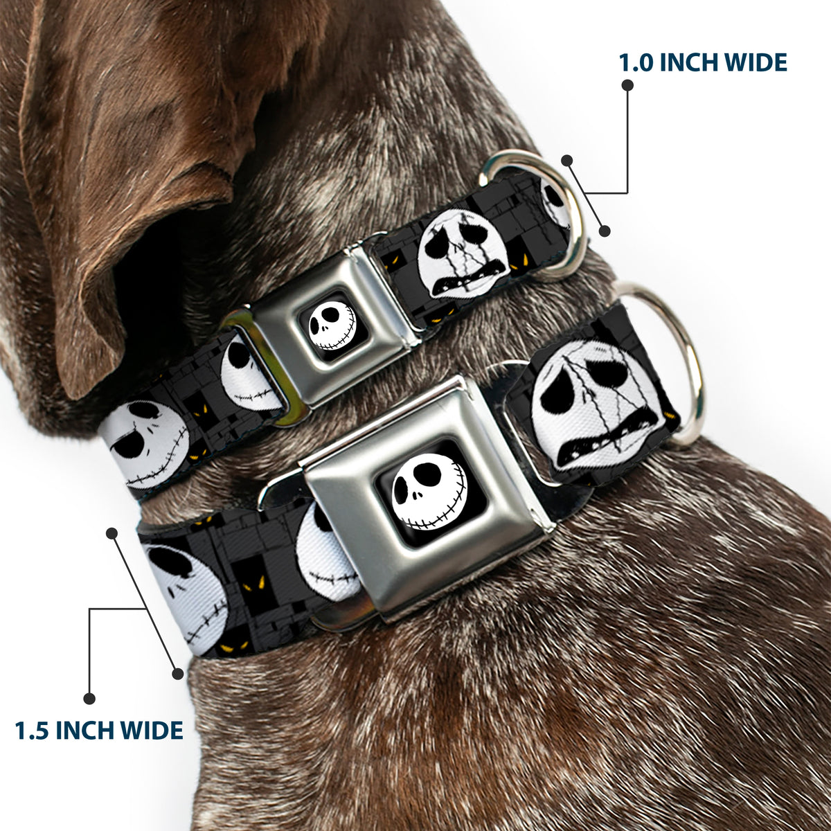 Jack Smile Full Color Seatbelt Buckle Collar - Nightmare Before Christmas Jack Expressions Gray Dog Collars Seatbelt Buckle Disney