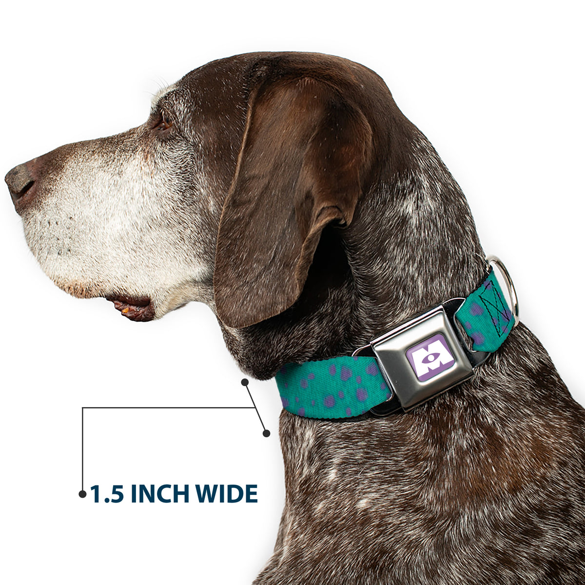 Monsters Inc. Icon Full Color Purple/White Seatbelt Buckle Collar - Monsters Inc. Sulley Bounding Spots Blue/Purple Dog Collars Seatbelt Buckle Disney