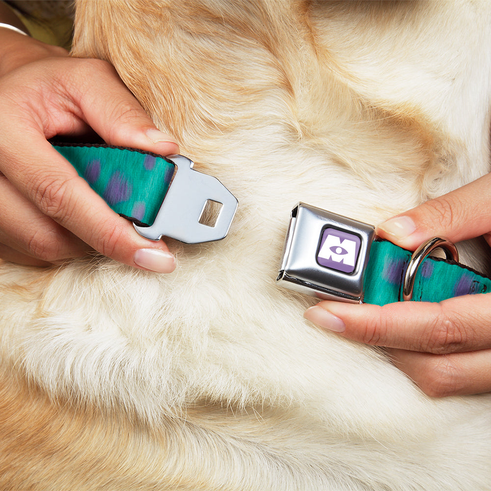 Monsters Inc. Icon Full Color Purple/White Seatbelt Buckle Collar - Monsters Inc. Sulley Bounding Spots Blue/Purple Dog Collars Seatbelt Buckle Disney