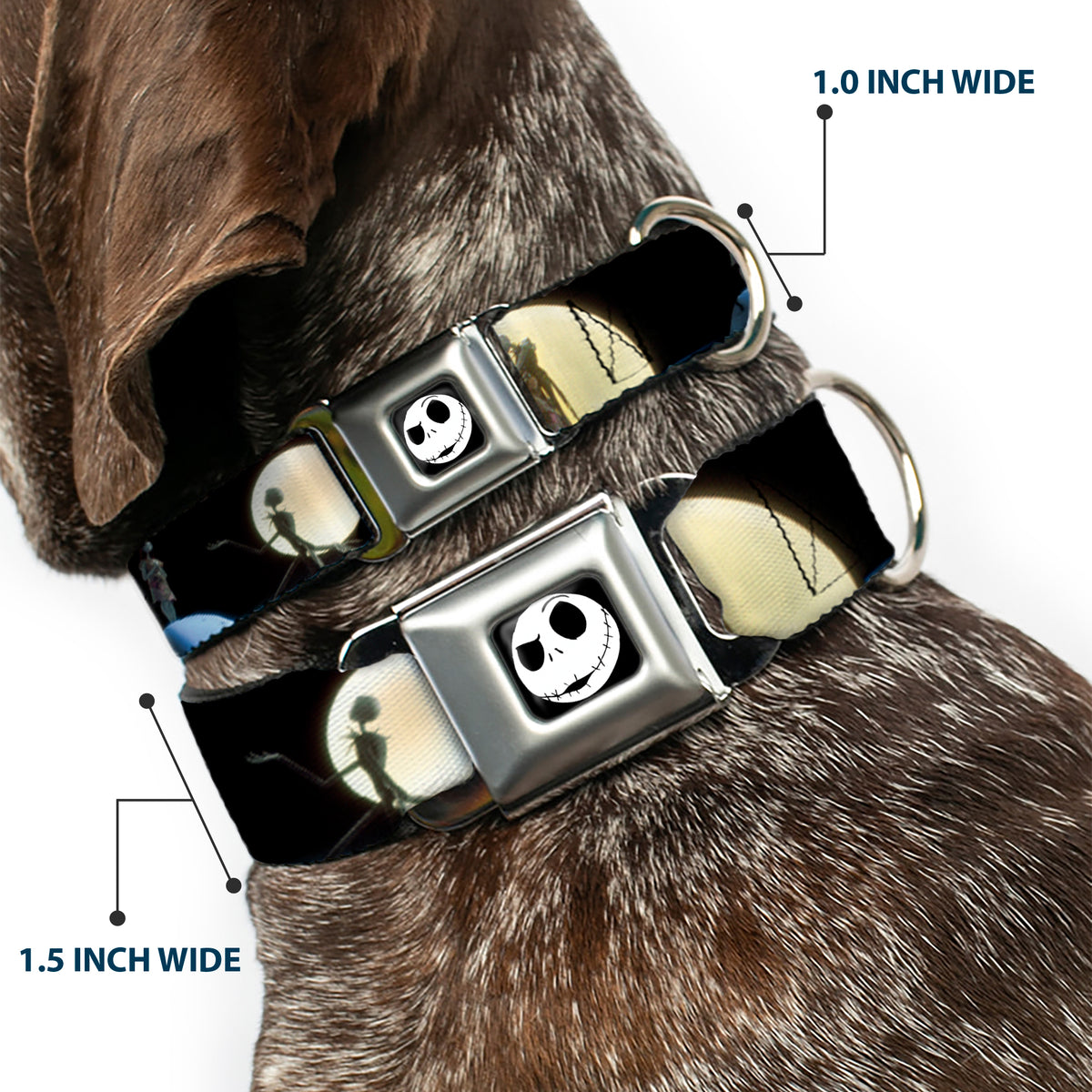 Jack Expression2 Full Color Seatbelt Buckle Collar - NBC Jack & Sally Moon Scenes Dog Collars Seatbelt Buckle Disney