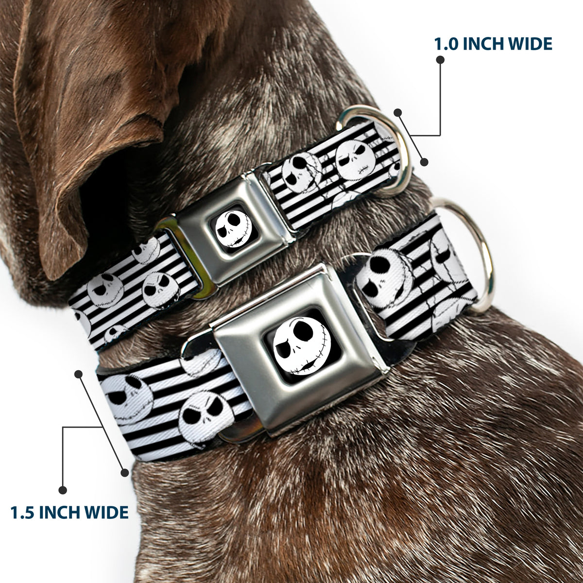 Jack Expression2 Full Color Seatbelt Buckle Collar - Jack Expressions/Stripe White/Black Dog Collars Seatbelt Buckle Disney