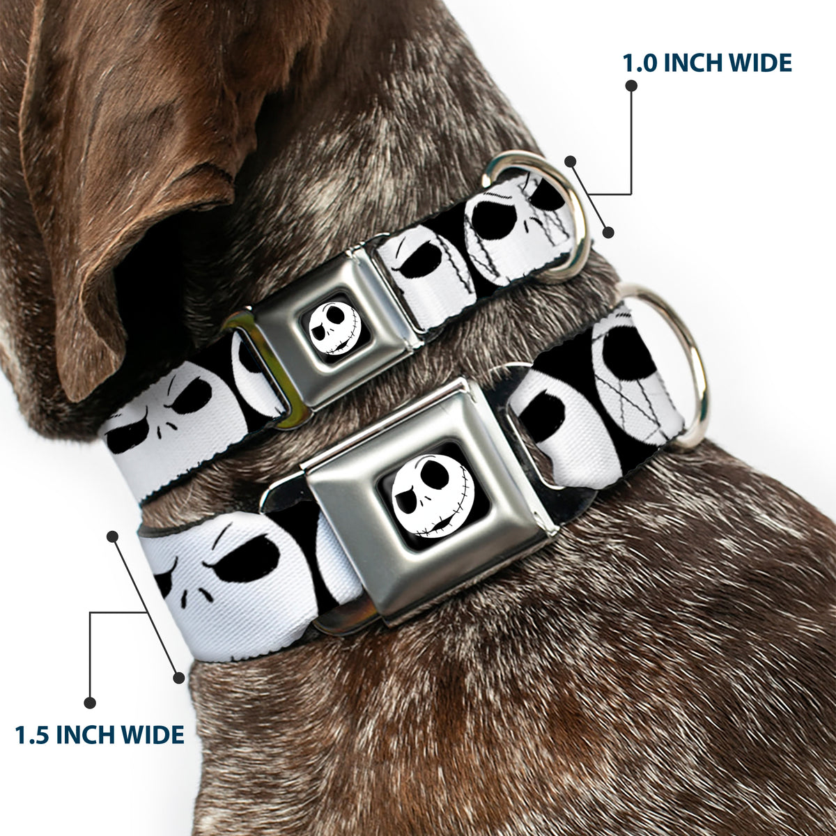 Jack Expression2 Full Color Seatbelt Buckle Collar - Nightmare Before Christmas 7-Jack Expressions CLOSE-UP Black/White Dog Collars Seatbelt Buckle Disney