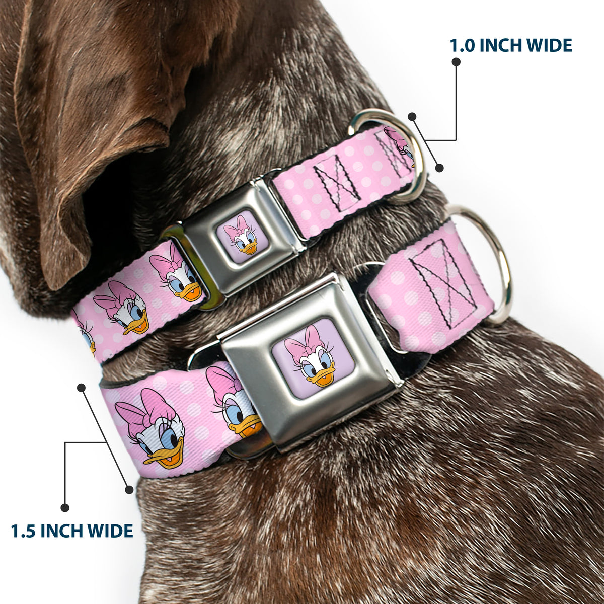 Daisy Duck Smiling Face Full Color Pinks Seatbelt Buckle Collar - Daisy Duck 2-Expressions/Dots Pinks Dog Collars Seatbelt Buckle Disney
