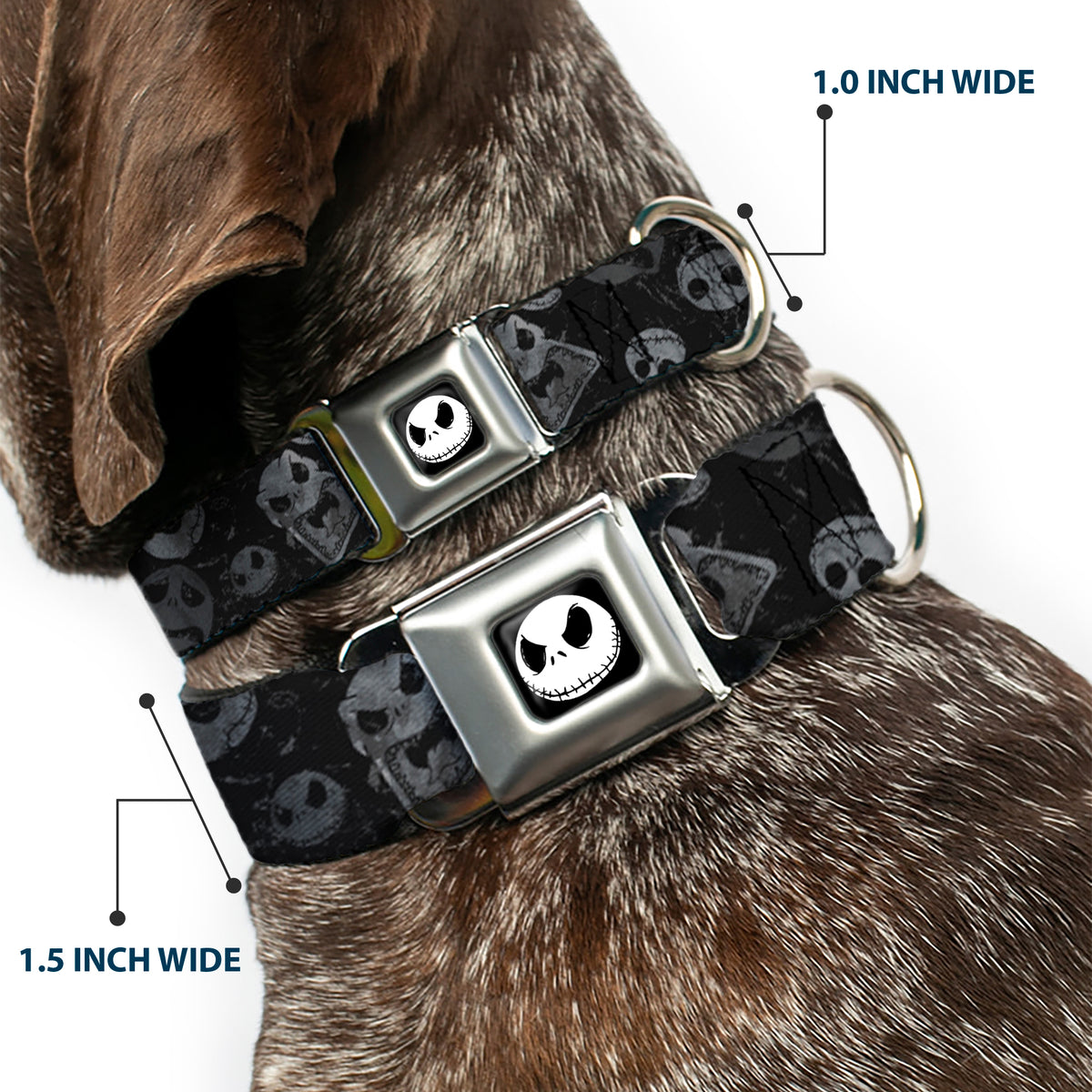 Jack Expression3 Full Color Seatbelt Buckle Collar - NBC Jack Expressions Scattered Weathered Dog Collars Seatbelt Buckle Disney