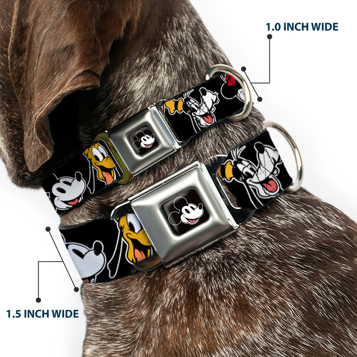Mickey Mouse Smiling Face Full Color Black Seatbelt Buckle Collar - Disney The Sensational Six Smiling Faces Black Dog Collars Seatbelt Buckle Disney