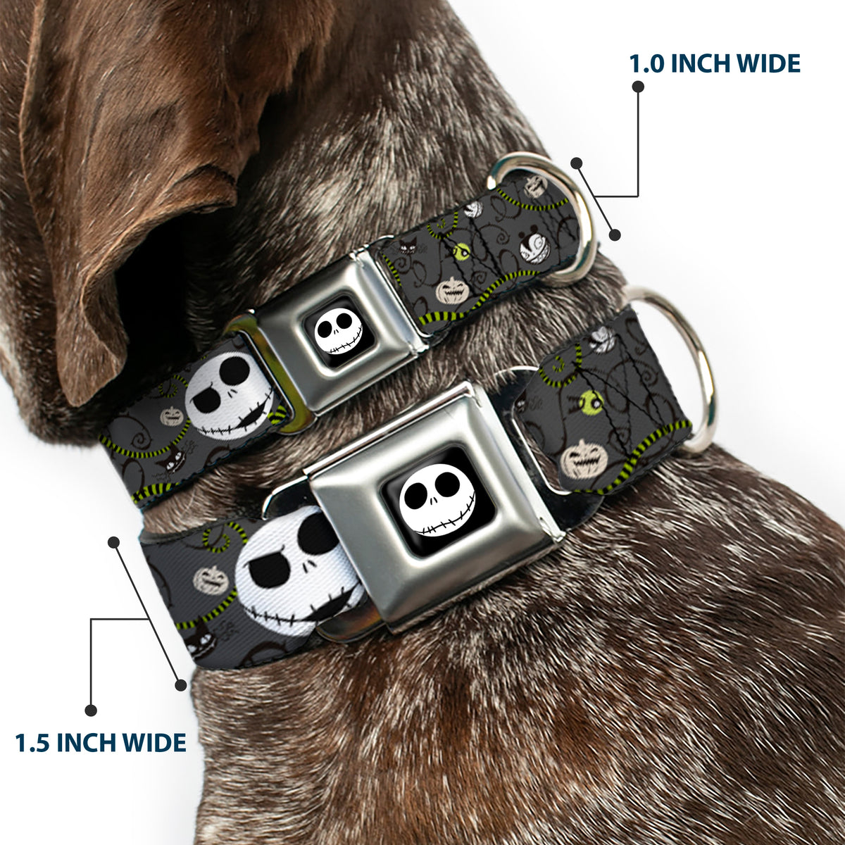 Jack Expression4 Full Color Seatbelt Buckle Collar - NBC Jack Expressions/Halloween Elements Gray Dog Collars Seatbelt Buckle Disney