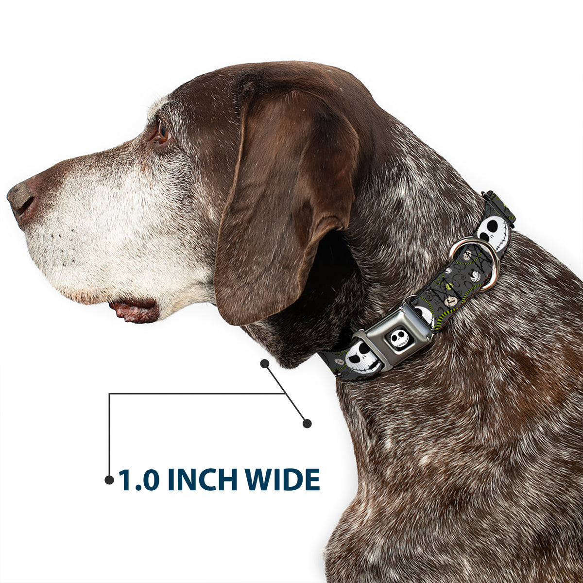 Jack Expression4 Full Color Seatbelt Buckle Collar - NBC Jack Expressions/Halloween Elements Gray Dog Collars Seatbelt Buckle Disney