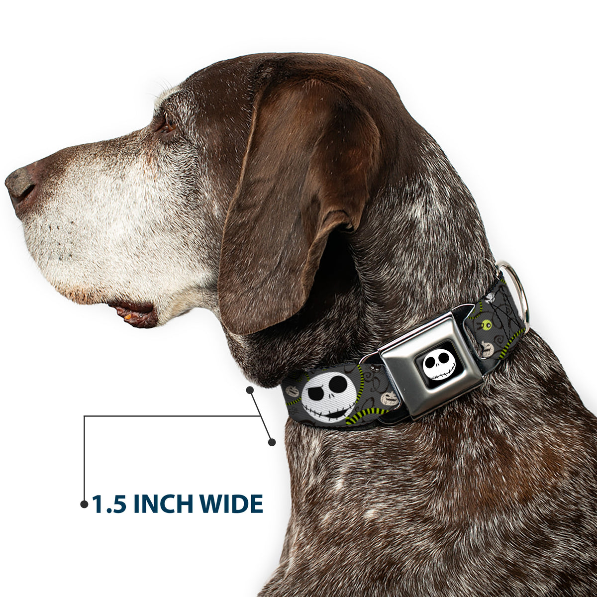 Jack Expression4 Full Color Seatbelt Buckle Collar - NBC Jack Expressions/Halloween Elements Gray Dog Collars Seatbelt Buckle Disney