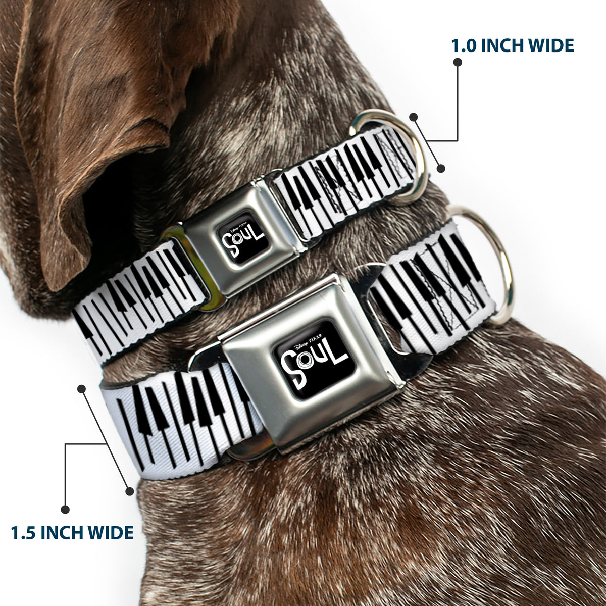 SOUL Text Logo Full Color Black/White Seatbelt Buckle Collar - Soul Piano Keys White/Black Dog Collars Seatbelt Buckle Disney