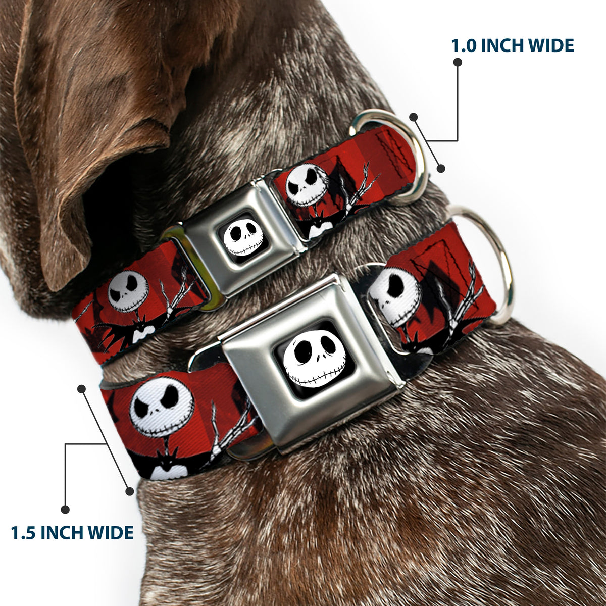 Jack Expression5 Full Color Seatbelt Buckle Collar - Nightmare Before Christmas Jack Poses/Bats Red Stripe Dog Collars Seatbelt Buckle Disney