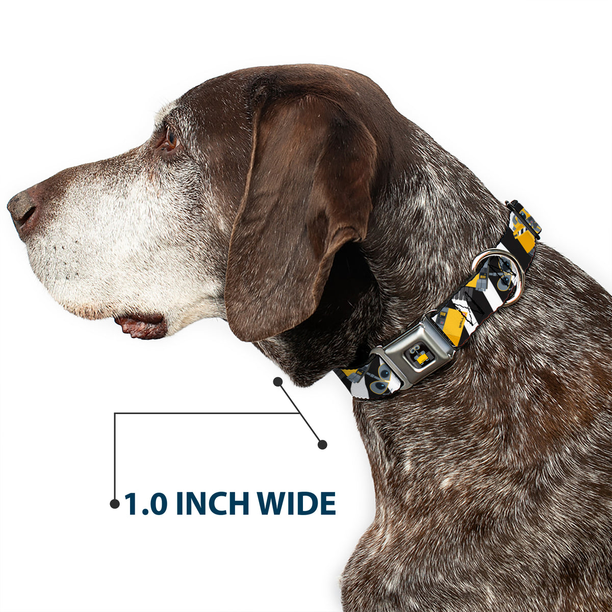 WALL-E Pose Full Color Black Seatbelt Buckle Collar - Wall-E Poses/Stripe Black/White Dog Collars Seatbelt Buckle Disney