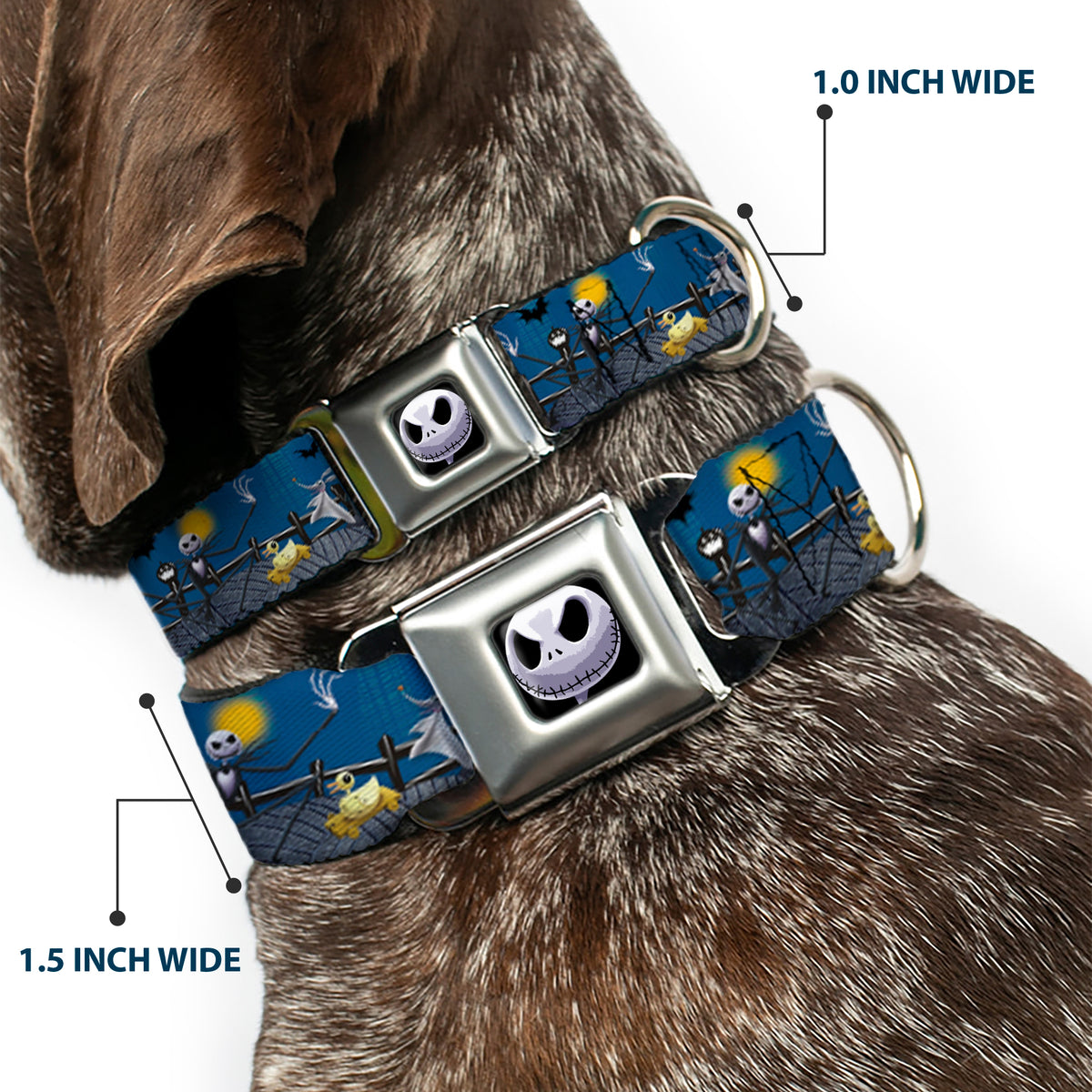 Jack Expression6 Full Color Seatbelt Buckle Collar - Nightmare Before Christmas Jack, Zombie Duck & Zero Cemetery Scene Dog Collars Seatbelt Buckle Disney
