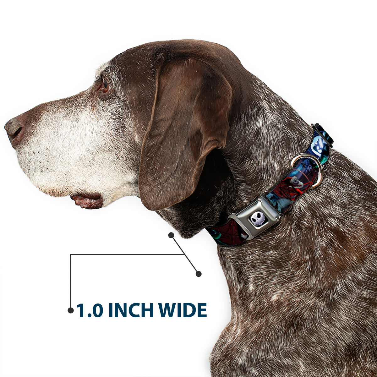Jack Expression6 Full Color Seatbelt Buckle Collar - NBC Jack, Oogie Boogie, Santa Scene Dog Collars Seatbelt Buckle Disney