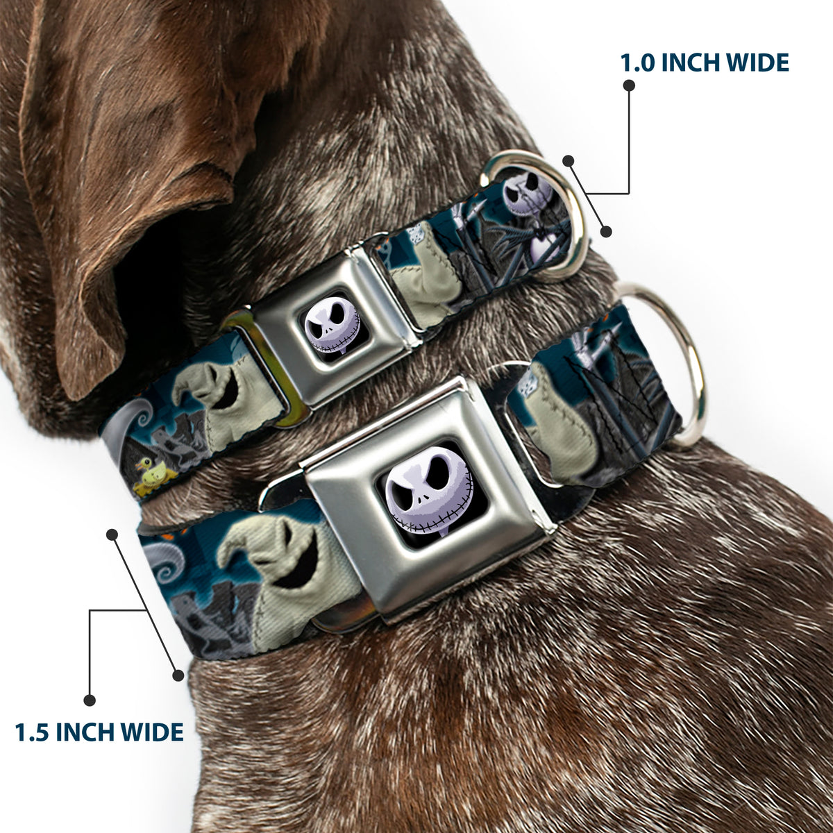 Jack Expression6 Full Color Seatbelt Buckle Collar - Nightmare Before Christmas 4-Character Group/Cemetery Scene Dog Collars Seatbelt Buckle Disney