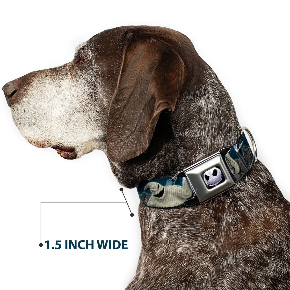 Jack Expression6 Full Color Seatbelt Buckle Collar - Nightmare Before Christmas 4-Character Group/Cemetery Scene Dog Collars Seatbelt Buckle Disney